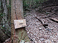 nktmn031_thumb.png