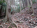 nktmn034_thumb.png