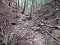 nktmn038_thumb.png