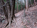 nktmn040_thumb.png