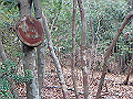 nktmn046_thumb.png
