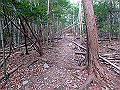 nktmn049_thumb.png