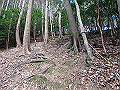 nktmn054_thumb.png