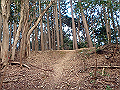nktmn056_thumb.png