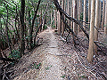 nktmn058_thumb.png