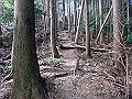 nktmn060_thumb.png