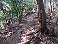 nktmn062_thumb.png