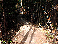 nktmn071_thumb.png