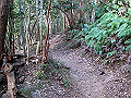 nktmn072_thumb.png
