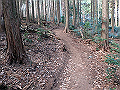 nktmn076_thumb.png