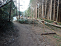 nktmn078_thumb.png
