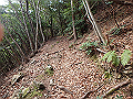 nktmn089_thumb.png