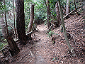 nktmn090_thumb.png