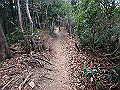 nktmn092_thumb.png