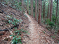 nktmn093_thumb.png