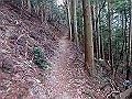 nktmn094_thumb.png