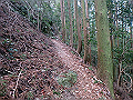 nktmn095_thumb.png