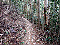 nktmn096_thumb.png