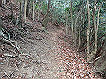 nktmn098_thumb.png