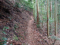 nktmn099_thumb.png