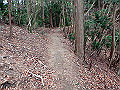 nktmn118_thumb.png