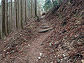 nktmn125_thumb.png