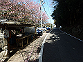 nktmn001_thumb.png