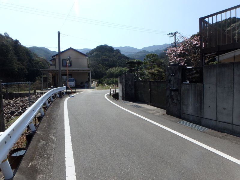 nktmn008.jpg