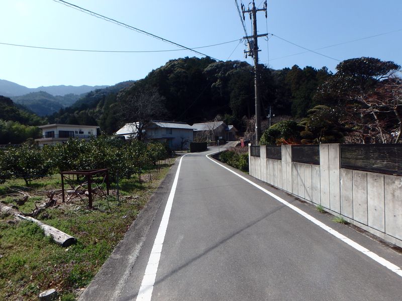 nktmn009.jpg