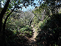nktmn035_thumb.png
