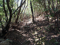 nktmn036_thumb.png