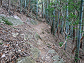 nktmn028_thumb.png