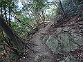 nktmn037_thumb.png