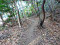nktmn042_thumb.png
