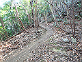 nktmn043_thumb.png