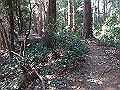 nktmn060_thumb.png