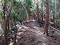 nktmn061_thumb.png