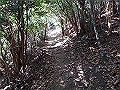nktmn064_thumb.png