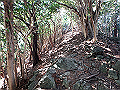 nktmn067_thumb.png