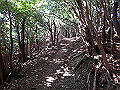 nktmn070_thumb.png