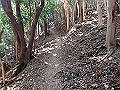 nktmn072_thumb.png