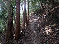 nktmn073_thumb.png