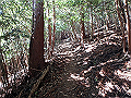 nktmn075_thumb.png