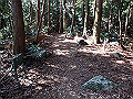 nktmn077_thumb.png