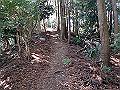 nktmn078_thumb.png