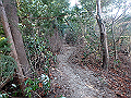 nktmn091_thumb.png