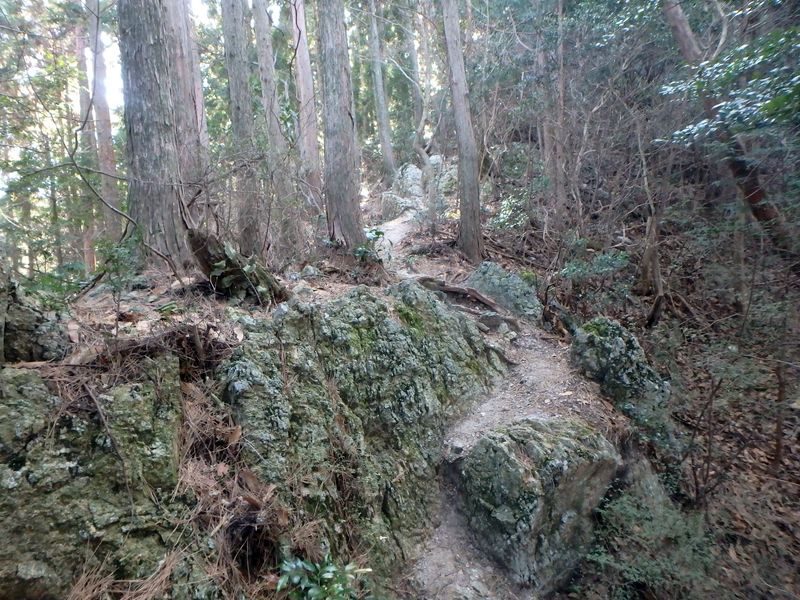 nktmn096.jpg