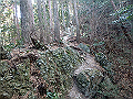 nktmn096_thumb.png