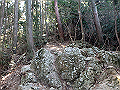 nktmn097_thumb.png