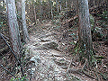 nktmn098_thumb.png
